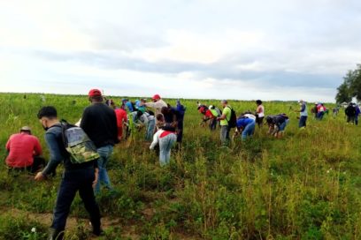 Cumpleaños productivo