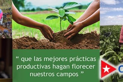 Producción de alimentos de forma sostenible