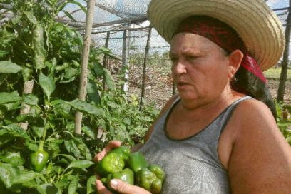 Sancti Spíritus, sede de la celebración central nacional por el Día Internacional de la Mujer