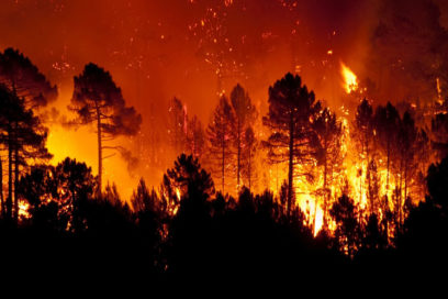 Cambio climático aumenta riesgo de incendios forestales, alerta ONU