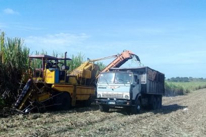 CTC en Santiago de Cuba: pegadita al azúcar