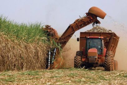 Industria azucarera en Cuba busca solucionar problemas