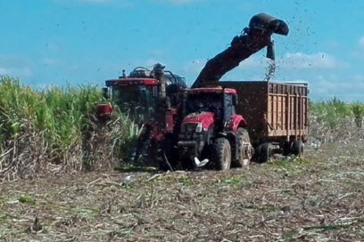Convoca la Central de Trabajadores de Cuba a potenciar la eficiencia de la actual campaña azucarera