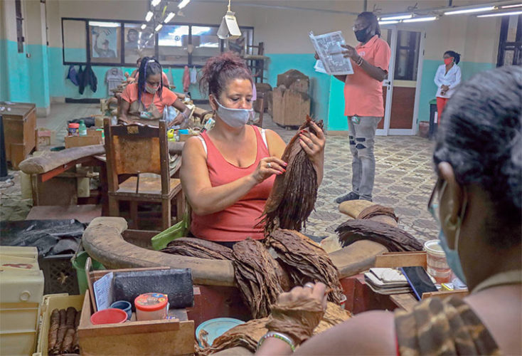 Falconeri no solo realiza su labor como lector de tabaquería en la galera, sino también en otras áreas de la empresa. Foto: Heriberto González Brito