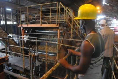 La industria azucarera es identidad nacional