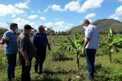 Chequea Tapia Fonseca estrategia económico-social en Isla de la Juventud (+Fotos)