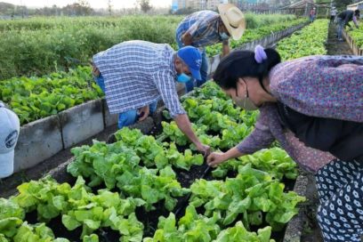Desde Sancti Spíritus, producir y fortalecer la economía