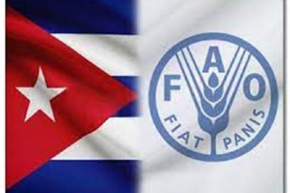 Cuba desarrolla agenda en Conferencia Regional de la FAO