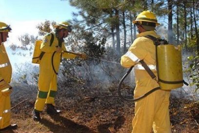 Extinguido incendio forestal en Occidente de Cuba