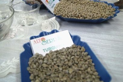 Guantánamo por rumbo exportador más firme y claro