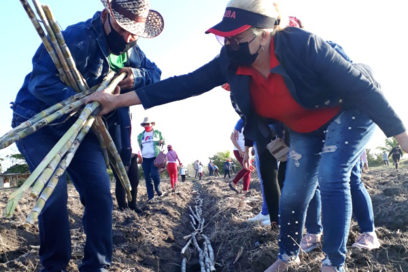 Primero de Mayo: Una convocatoria de fuerza mayor (+ Fotos)