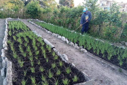 Soberanía alimentaria desde la escuela