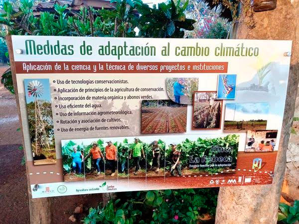 Foto: Tomada de la página en Facebook de Yoan Luis Piedra