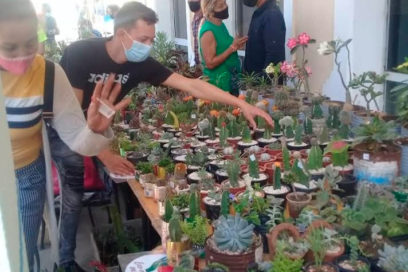 Eco-manos verdes dedica homenaje a la mujer (+ Fotos)