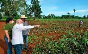 La finca La Rebeca muestra el valor de la agroecología. Foto: Archivo de El Artemiseño