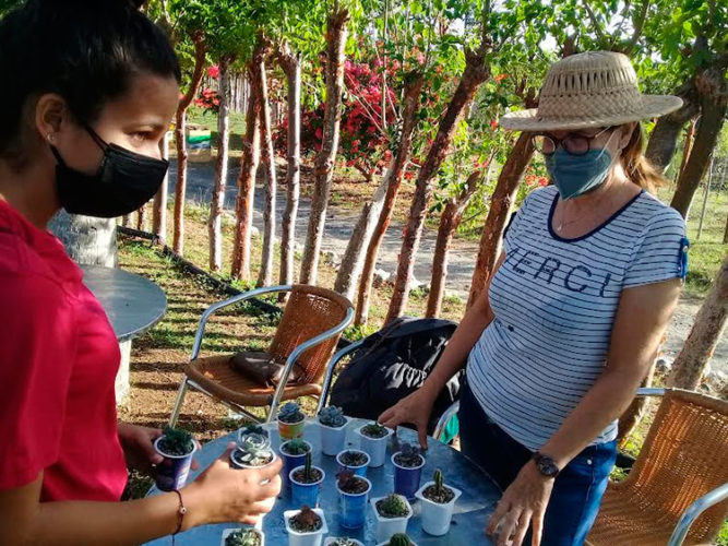 Otros actores económicos, de Artemisa y La Habana, se sumaron a la iniciativa. Foto: Yudaisis Moreno Benítez