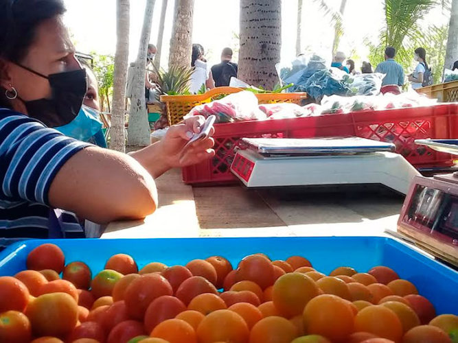 La venta de cosechas de la Finca fue muy demandada. Foto: Yudaisis Moreno Benítez