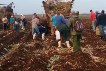 Convocatoria al Primero de Mayo: Aportar a la producción de alimentos, principal motivación