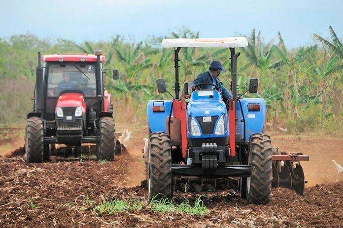 En surco se defienden la producción de alimentos. Foto: Sitio digital Periódico 26