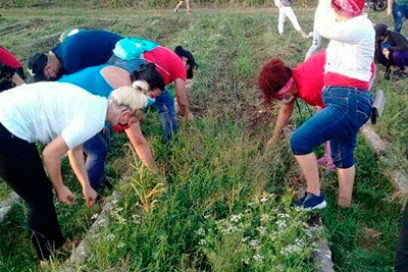 Villa Clara: Apoyo a la zafra azucarera y producción de alimentos (+ Fotos)