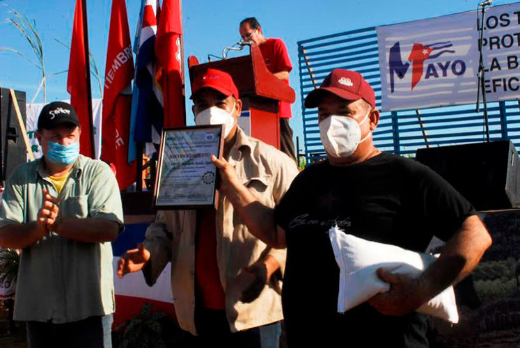 Foto: Agustín Borrego Torres
