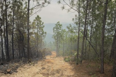 Bajo control incendio forestal de grandes proporciones en Minas de Matahambre