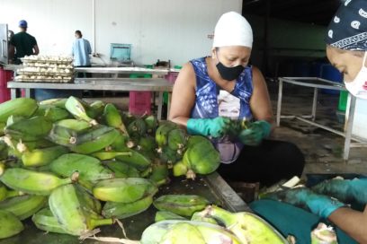 Latir avileño en primera trinchera económica