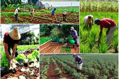 Cienfuegos: sede de las actividades centrales por el Día del Campesino