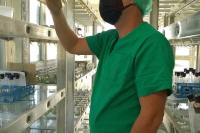 Edel: la necesidad de investigar