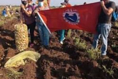 Acompañan a los jóvenes en el surco