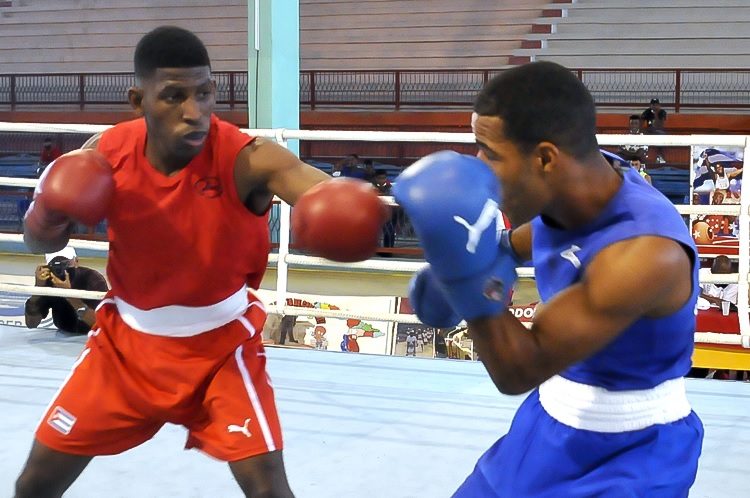 Andy Cruz. Foto: José Raúl Rodríguez Robleda
