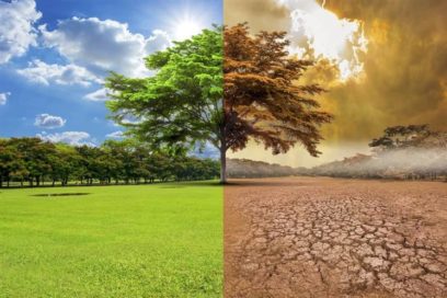 Las culpas con razón: cambio climático desencadenará más pandemias