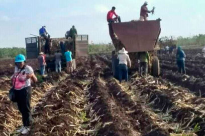 Más hectáreas por el Primero de Mayo