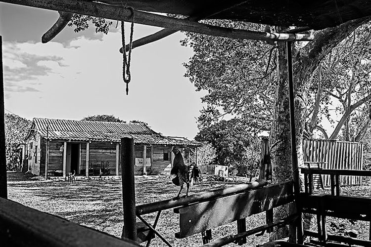 De la serie El mundo de Karoline (3).