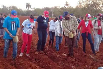 Participa Díaz-Canel en trabajo voluntario en La Habana (+Fotos)