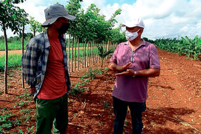 Un profesor en los surcos