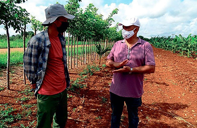 El joven Ignacio Lorenzo (primero a la izquierda) devenido agricultor aprende de cada especialista. Foto: Ana Margarita González