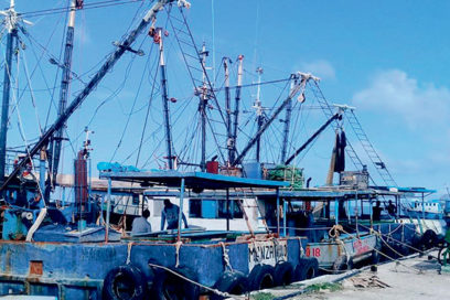 Día del Trabajador de la Pesca: Aportes con experiencia y juventud
