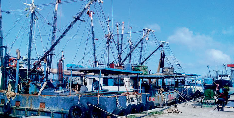 Flota de barcos perteneciente a la Industria Pesquera Industrial de Granma, Epigram. Foto: Leipzig del Carmen Vázquez García
