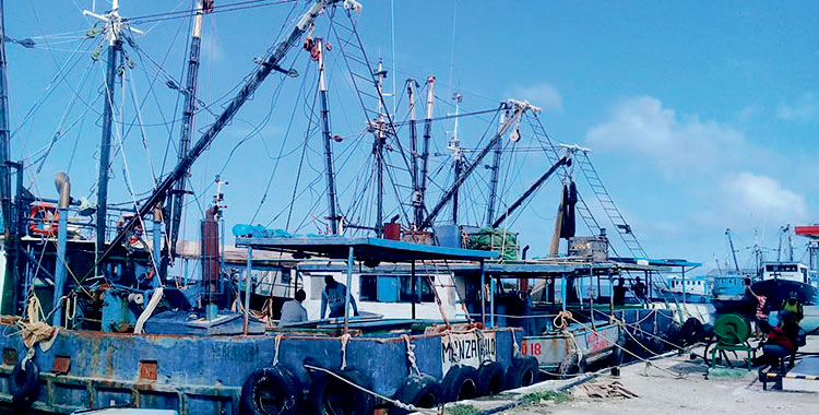 Flota de barcos perteneciente a la Industria Pesquera Industrial de Granma, Epigram. Foto: Leipzig del Carmen Vázquez García