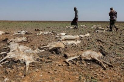 ONU llama a reducir producción de combustibles fósiles