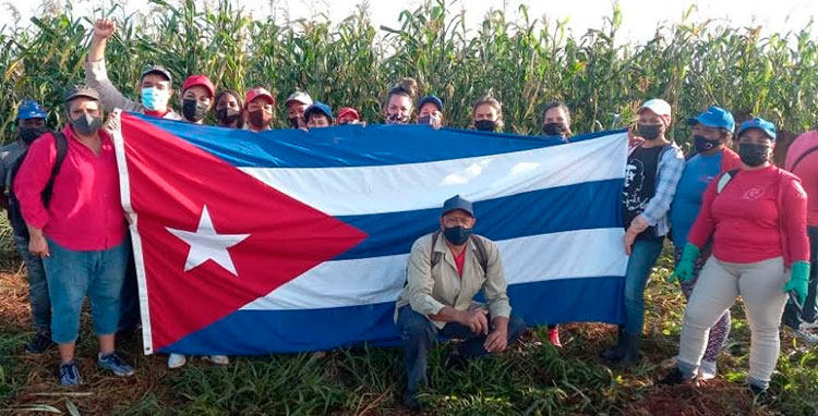 Entre campos de papa y maíz saludan avileños el 1ro de Mayo. Foto Yanara Quintero