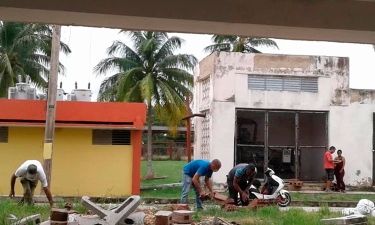 La jornada de trabajo voluntario en Camagüey se realizó desde diferentes acciones: en el campo, sembrando y hasta limpiando el futuro local que se destinará a un Centro Cultural. Foto: Cortesía del Centro Provincial del Libro y la Literatura