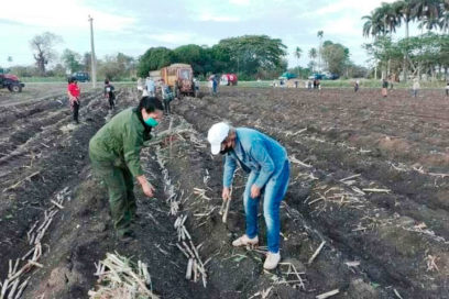 Trabajos voluntarios o la mejor forma de celebrar el Primero de Mayo