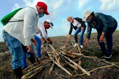 En Las Tunas continúan sembrando victorias por el Primero de Mayo (+ Fotos)