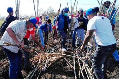 Sembrando Victorias por el Primero de Mayo en Las Tunas (+ Fotos)