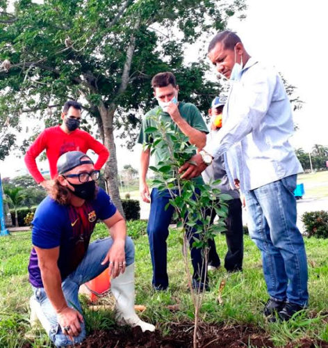 El Laurel como símbolo de fortaleza y victoria. Foto: Jorge Pérez Cruz