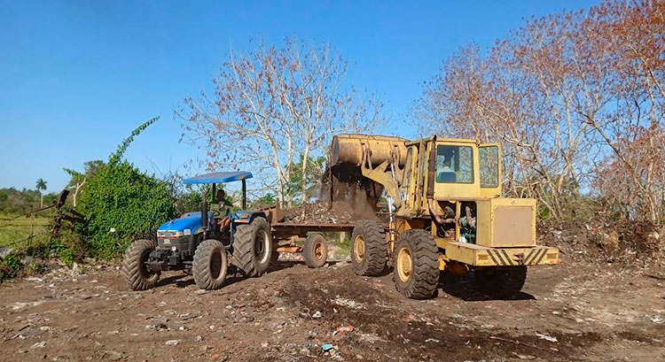 Los trabajadores de la Empresa de Acopio y Beneficio de Tabaco Pinar del Río, centraron sus equipos y esfuerzos en la erradicación de vertederos. Foto: Yolanda Molina Pérez