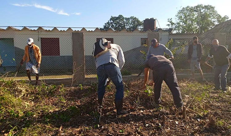 Combatientes del Ministerio del Interior (Minint) se sumaron a la limpieza de áreas verdes. Foto: Yolanda Molina Pérez