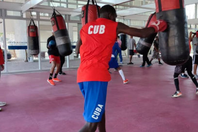 Domadores de Cuba noqueó a los profesionales mexicanos